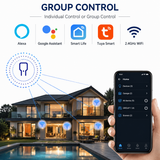 Mini WiFi Smart Switch 16A
