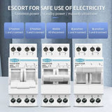 TOMZN 2P 63A Manual Transfer Switch (MTS) Dual Power Changeover Isolating Switch Interlock Circuit Breaker